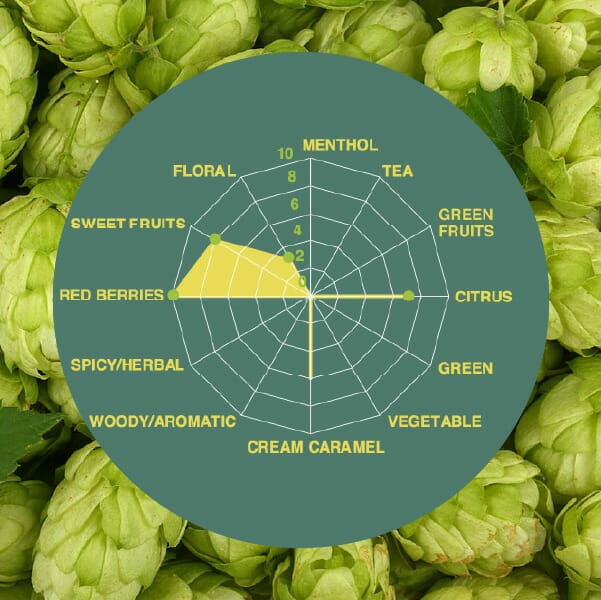 Southern Passion Hops spider graph | South African Hops