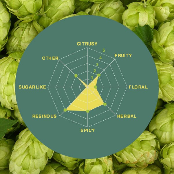Southern Tropic Hops spider graph | South African Hops