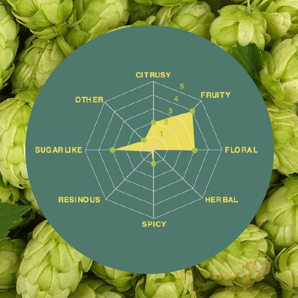 Southern Star hops spider graph | South African Hops