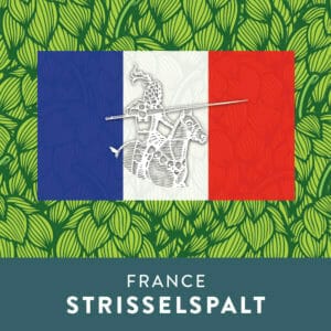 Strisselspalt Hops - France