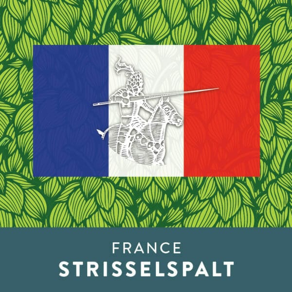 Strisselspalt Hops - France