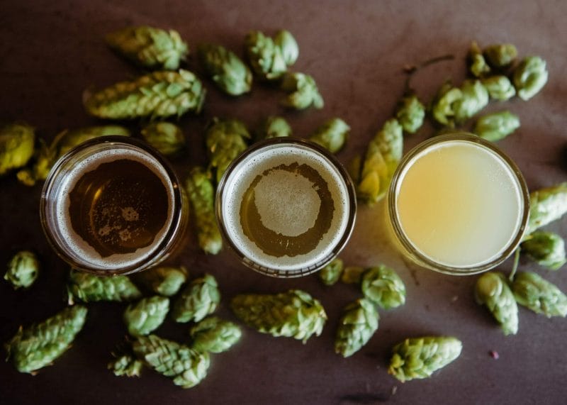 three glasses of beer surrounded by hop cones