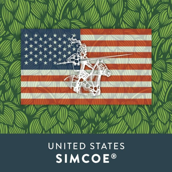 United States Simcoe hops